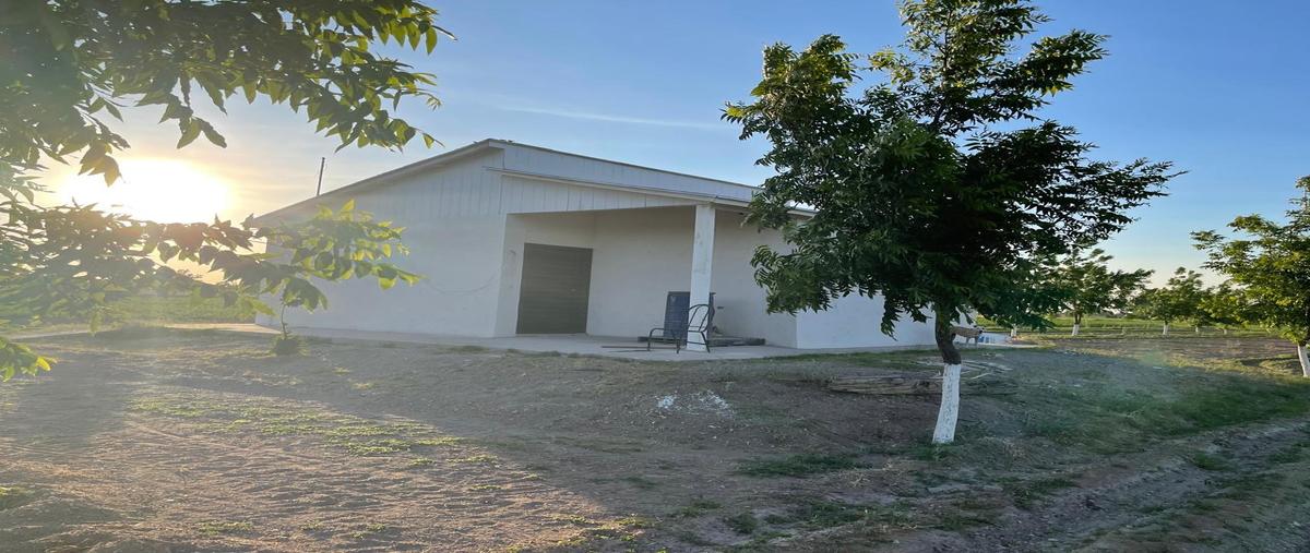 Foto de rancho en renta en  , saucillo [quesería], saucillo, chihuahua, 0 No. 05